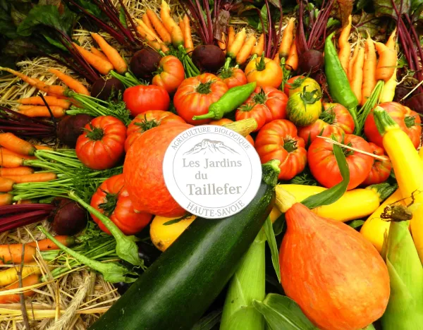 Vente directe de légumes bio : magasin des Jardins du Taillefer