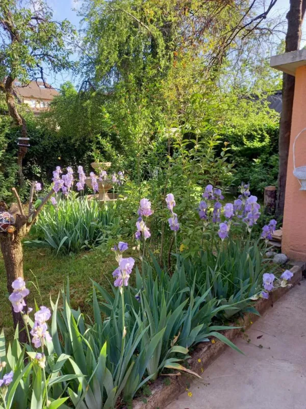 Villa Gavard_Thonon-les-Bains