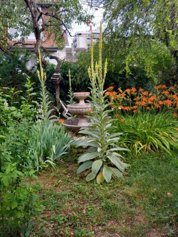 Villa Gavard_Thonon-les-Bains