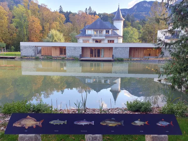 Villa Cohendier