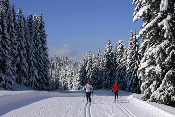 Piste typée randonnée nordique - nordic trace