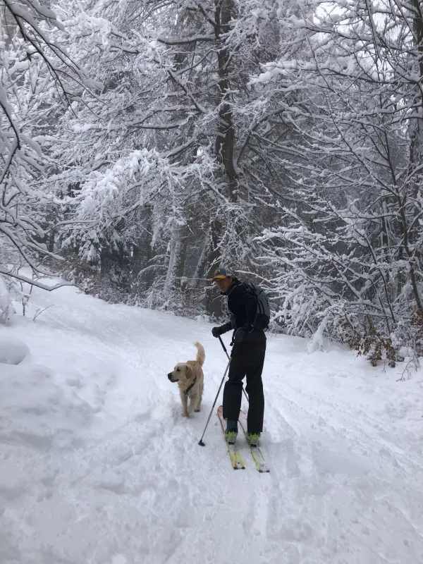 Piste de ski de randonnée : Gypaete