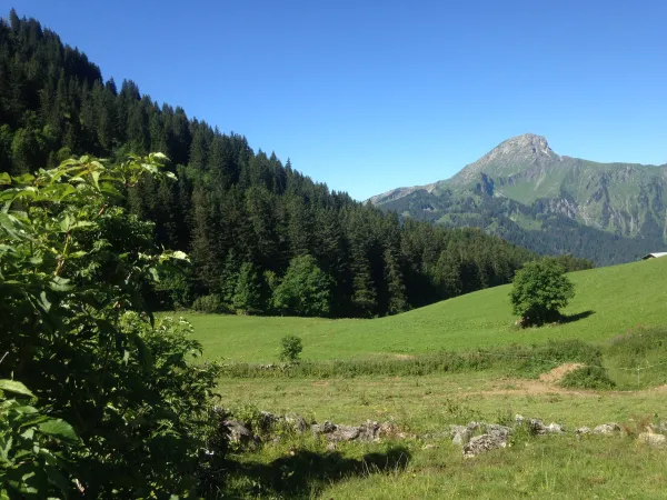 Alpage de Barbossine