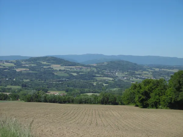 Point de vue - Chez Basset