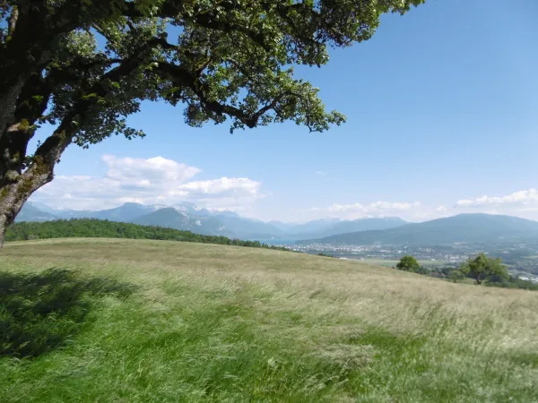 Point de vue - Ferrières