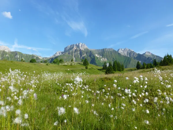 Plateau de Cenise