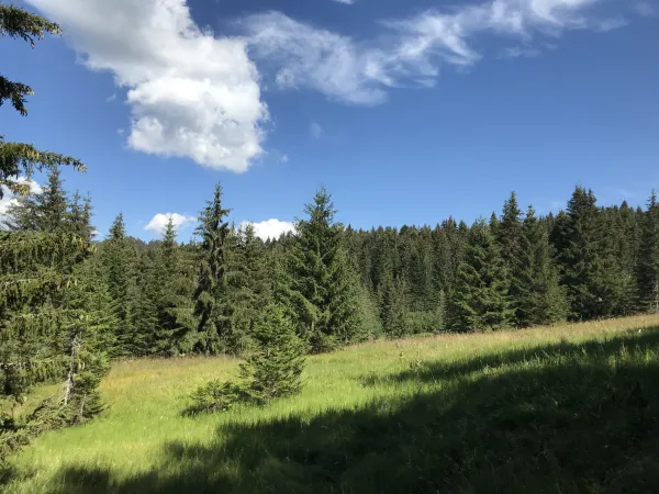 Plateau de Loëx