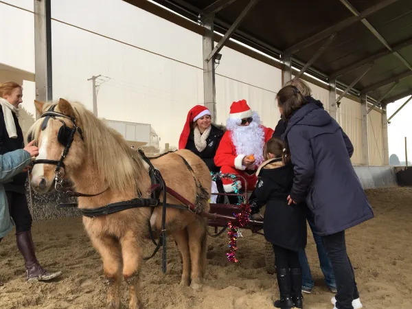 Pony park