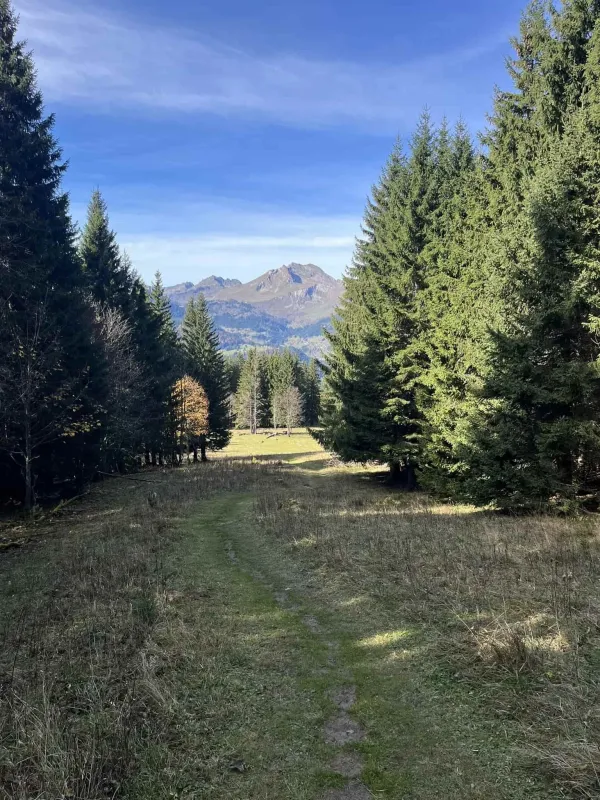 Pointe de Ressachaux_Morzine