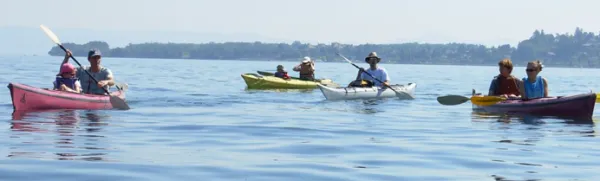Port des Clerges - Base Nautique