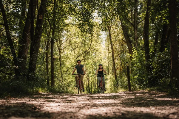 VTT - Boucle de la Férande
