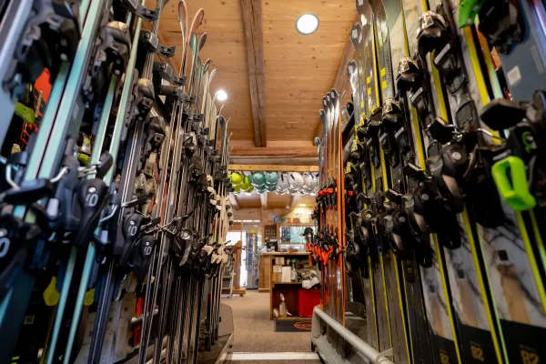 Skis