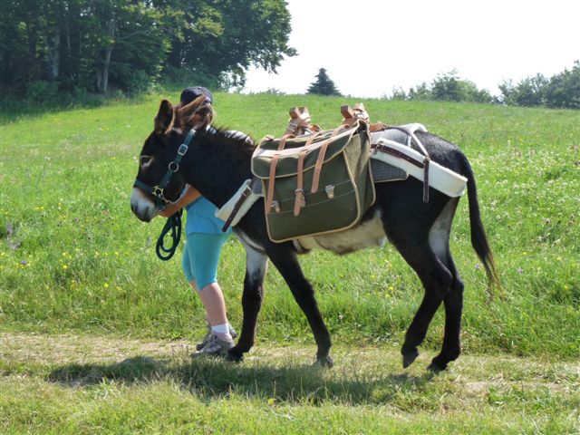 Rando âne sur le Salève à Étrembières