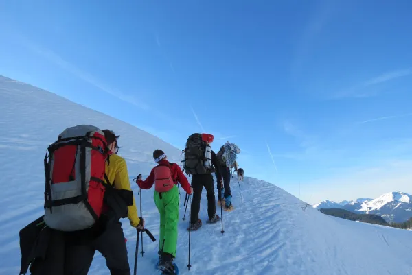 Rando Igloo