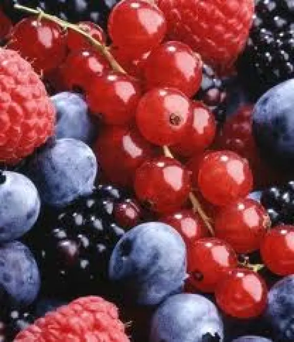 Rando naturaliste : Cueillette et cuisine sauvage - Groupe