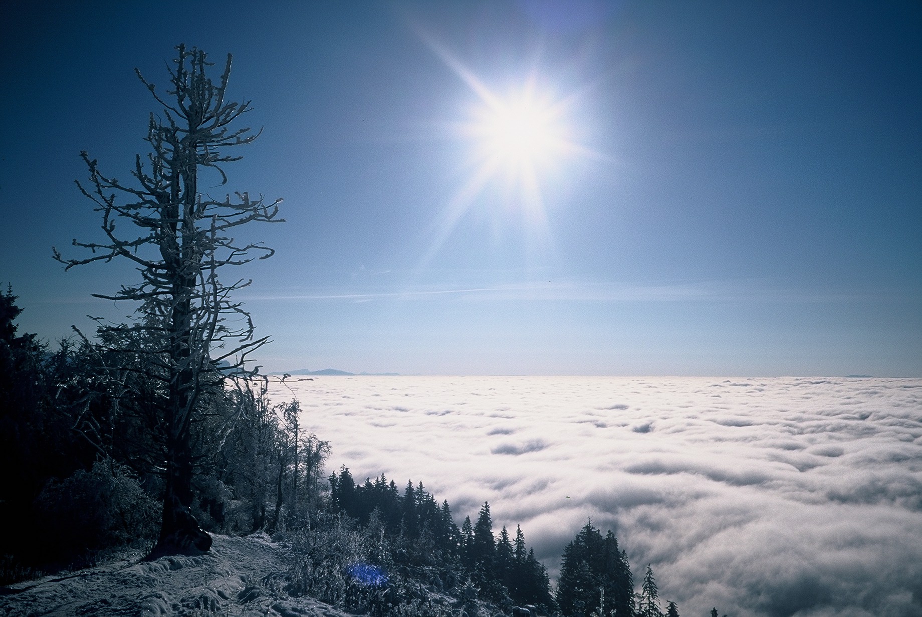 mer de nuage