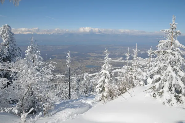 Vue sur le lac