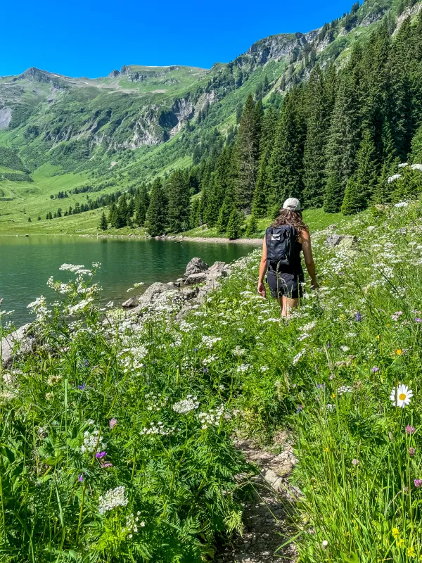 Rando’bus Morillon  – Sixt Fer-à-Cheval par Les Grands Vans et Refuge de Gers