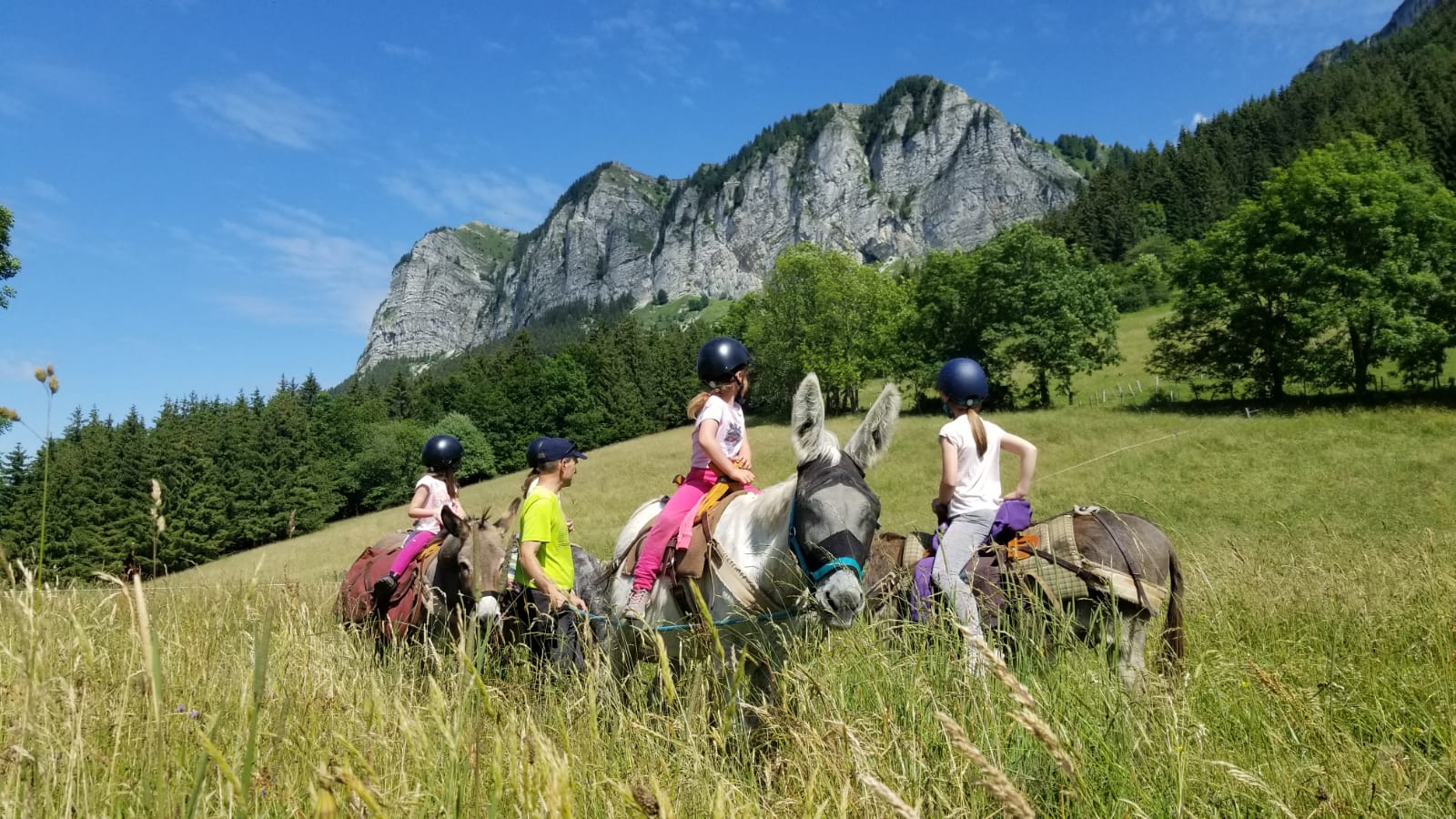 Randonnée avec des ânes à Thollon-les-Mémises