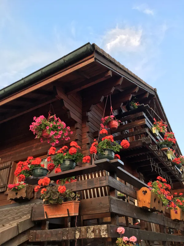 Le Chalet de Doucy Bardet