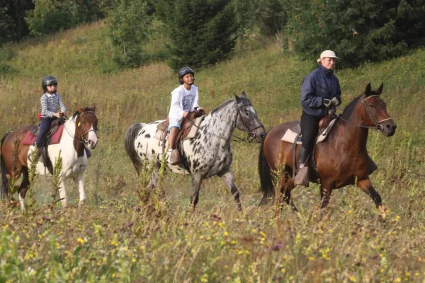 Randonnées à cheval