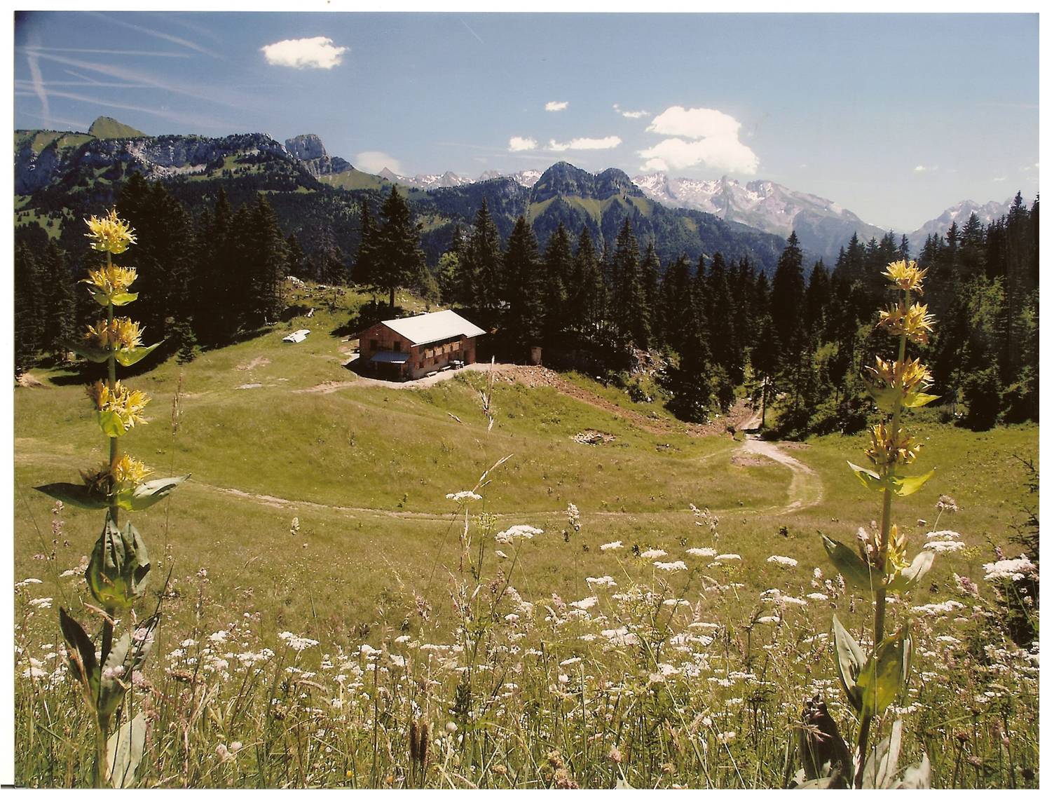 Refuge de spee