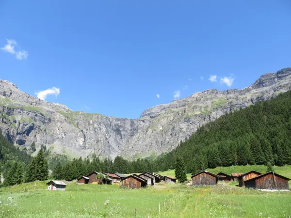 Alpage des Fonts