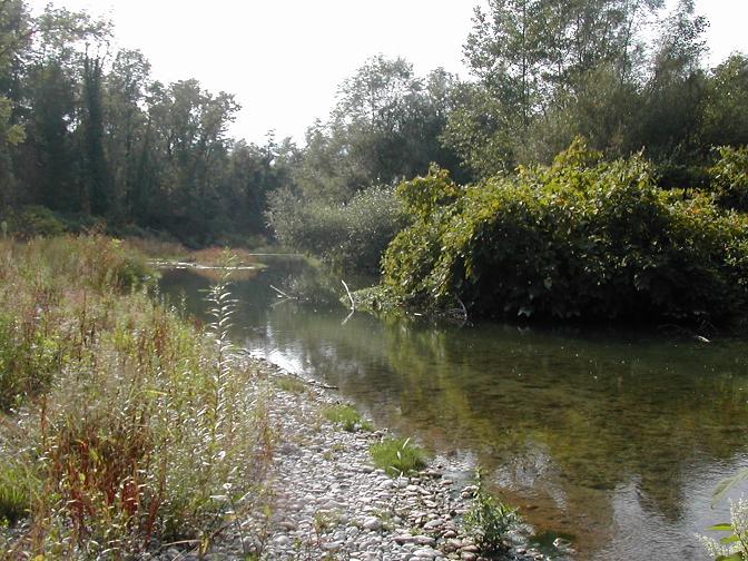 Rivière Les Usses à Frangy
