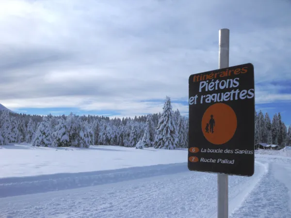 Piste piétonne Roche-Pallud