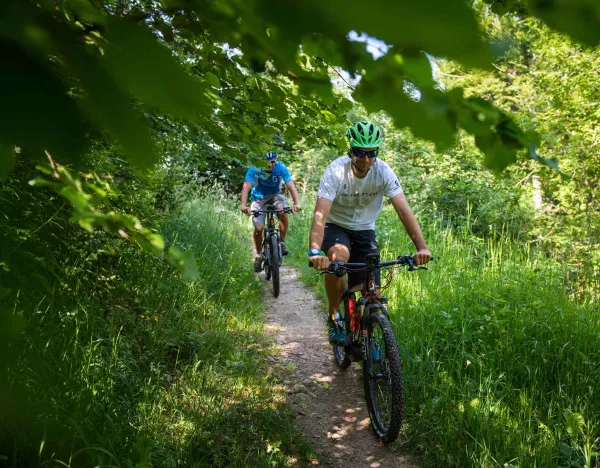 Sambuy Express - Itinéraire vtt et Cross-country n°6