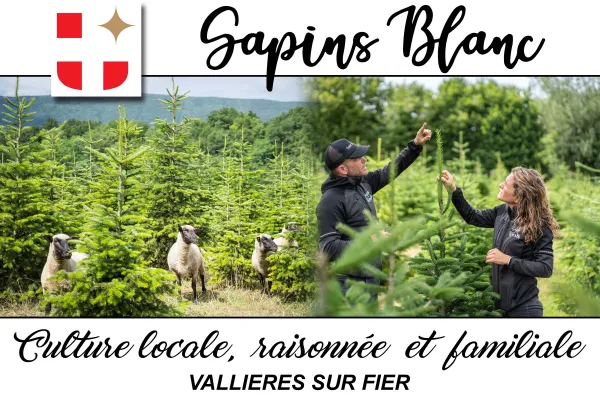 Sapins Blanc Vallières sur fier©SavoieMontBlanc-Sapins-Blanc/Anna-Ivanova