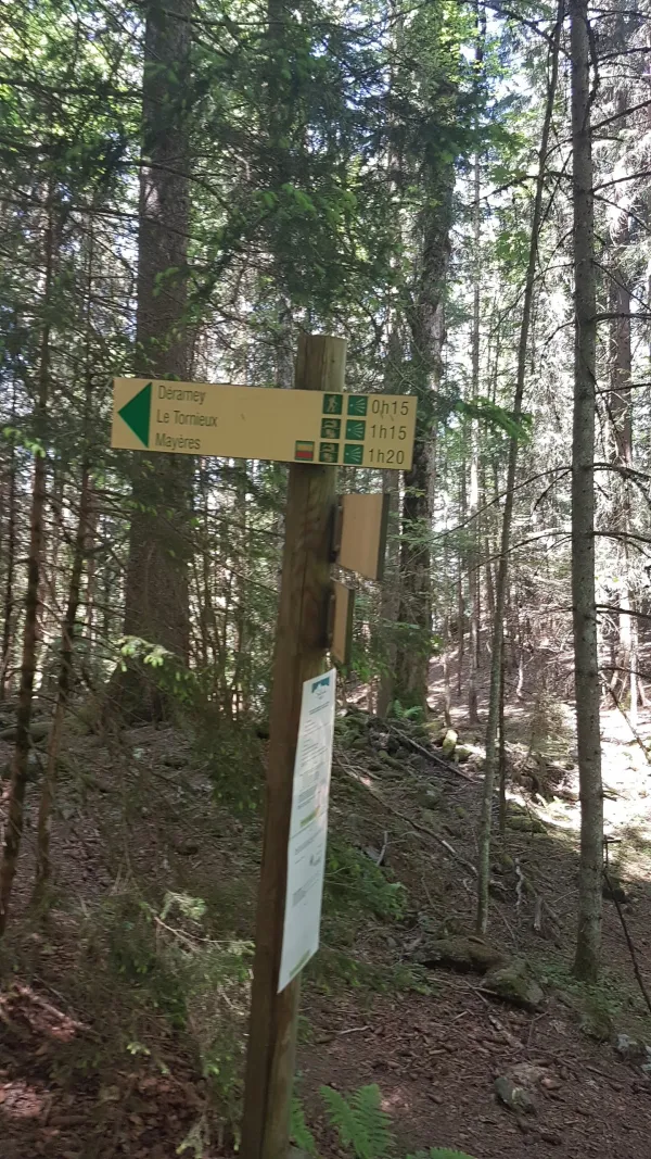 sentier pédestre : le Déramey par Burzier