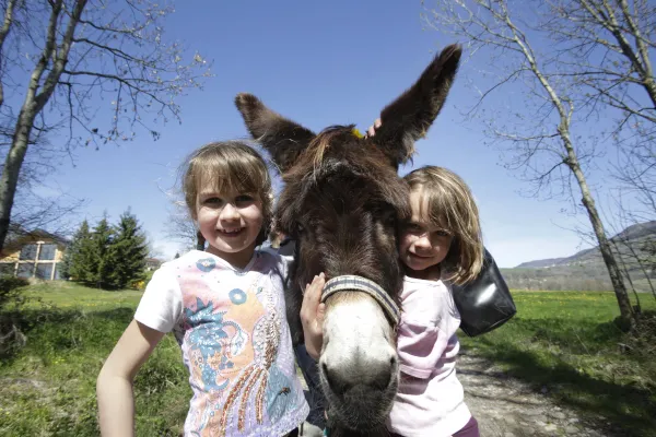 Sentier pédestre : sens et découverte des animaux de la ferme