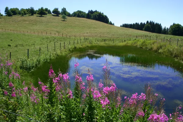 Sentier pédestre de la Sauge