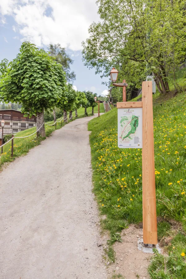 depart_sentier