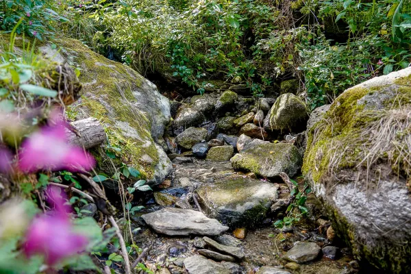 petit ruisseau