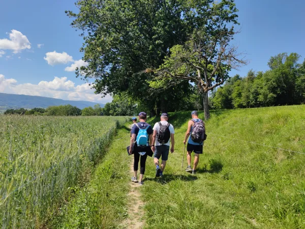 Sentier pédestre la Pomme