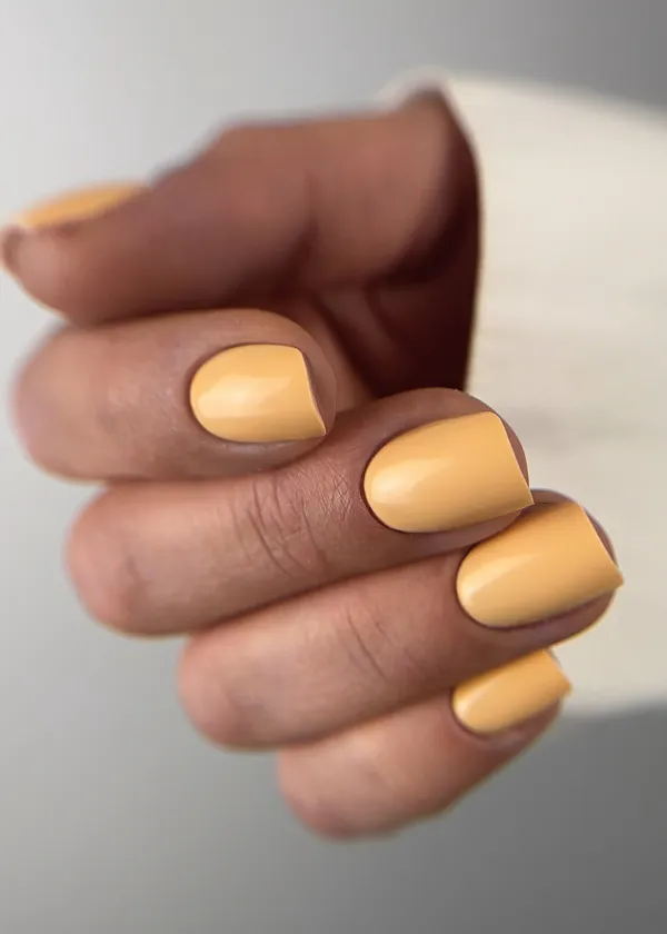 Styliste ongulaire