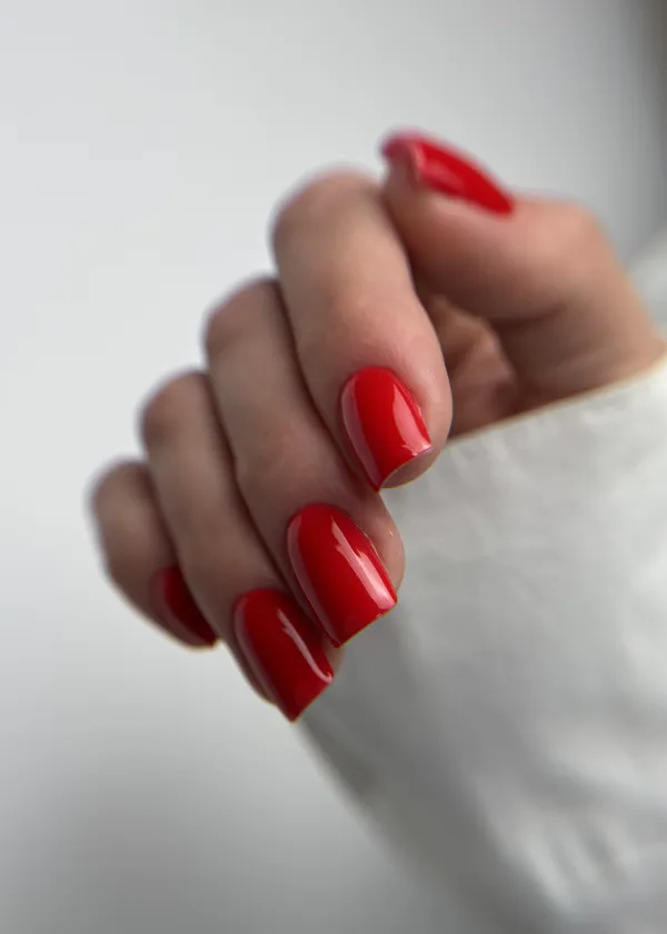 Styliste ongulaire