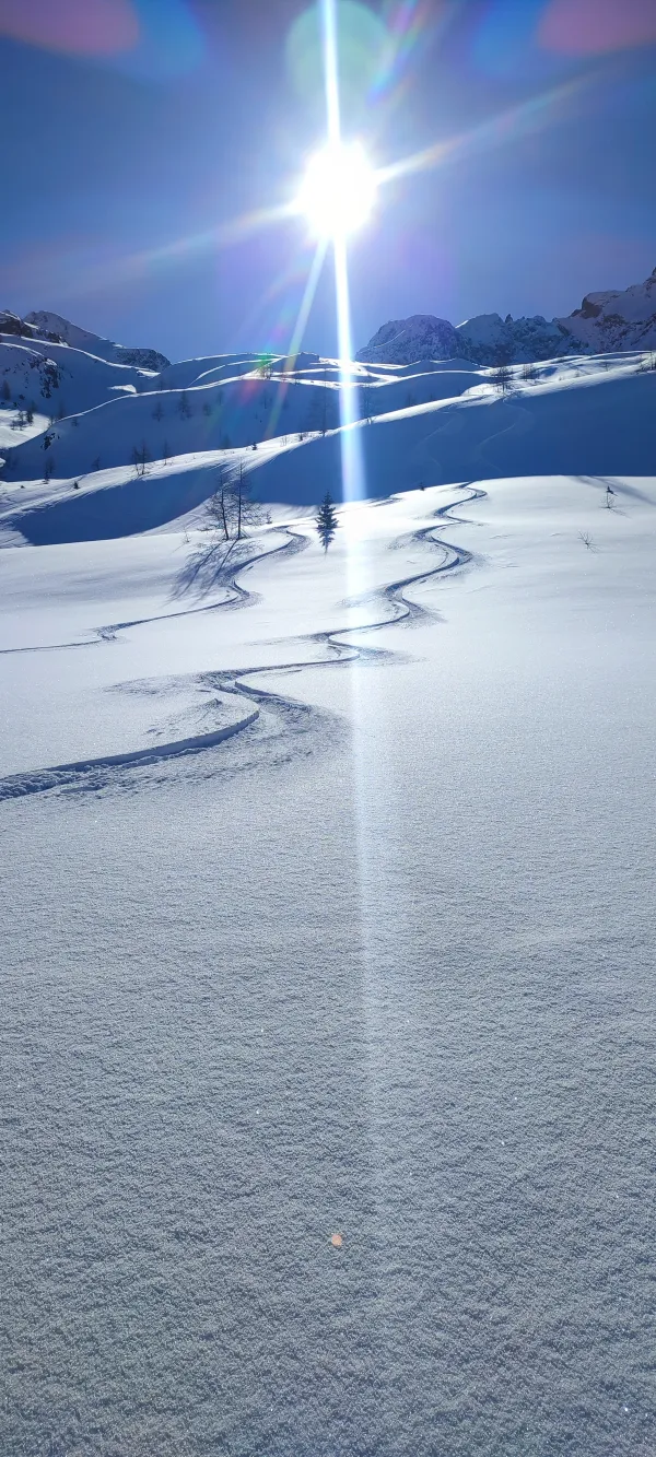 Activité ski de randonnée