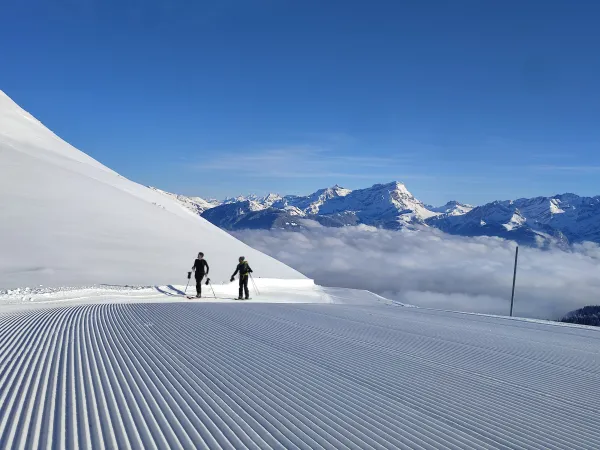 Activité ski de randonnée