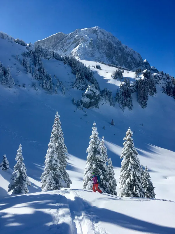 Activité ski de randonnée