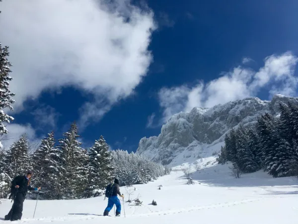 Activité ski de randonnée