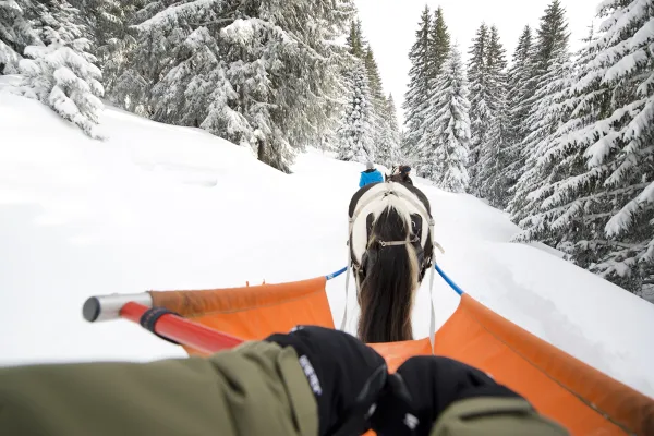 Ski Joëring Avoriaz