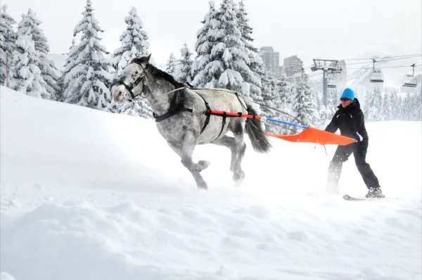 Ski-joëring