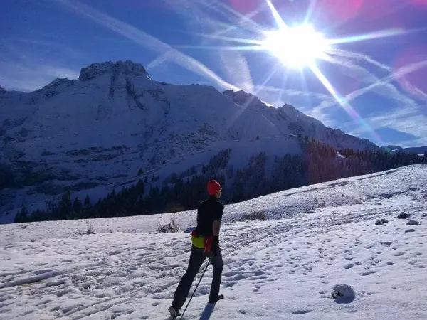 Marche nordique