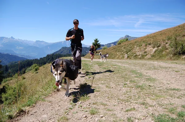 Sortie encadrée à la découverte de la Cani-randonnée