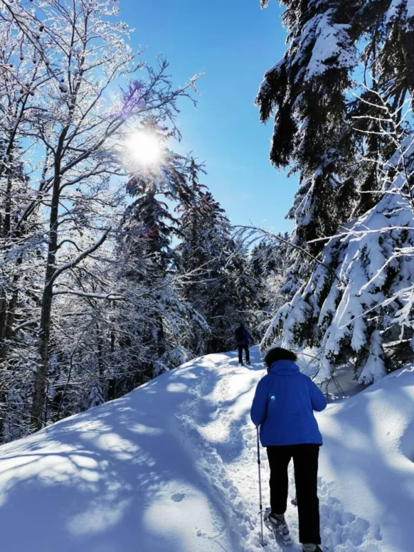 Sortie encadrée en raquettes dans la vallée du Giffre