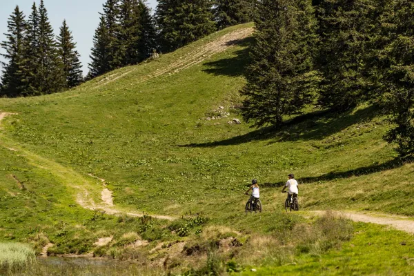 Sortie VTT enduro & E-bike en Valais (Suisse)