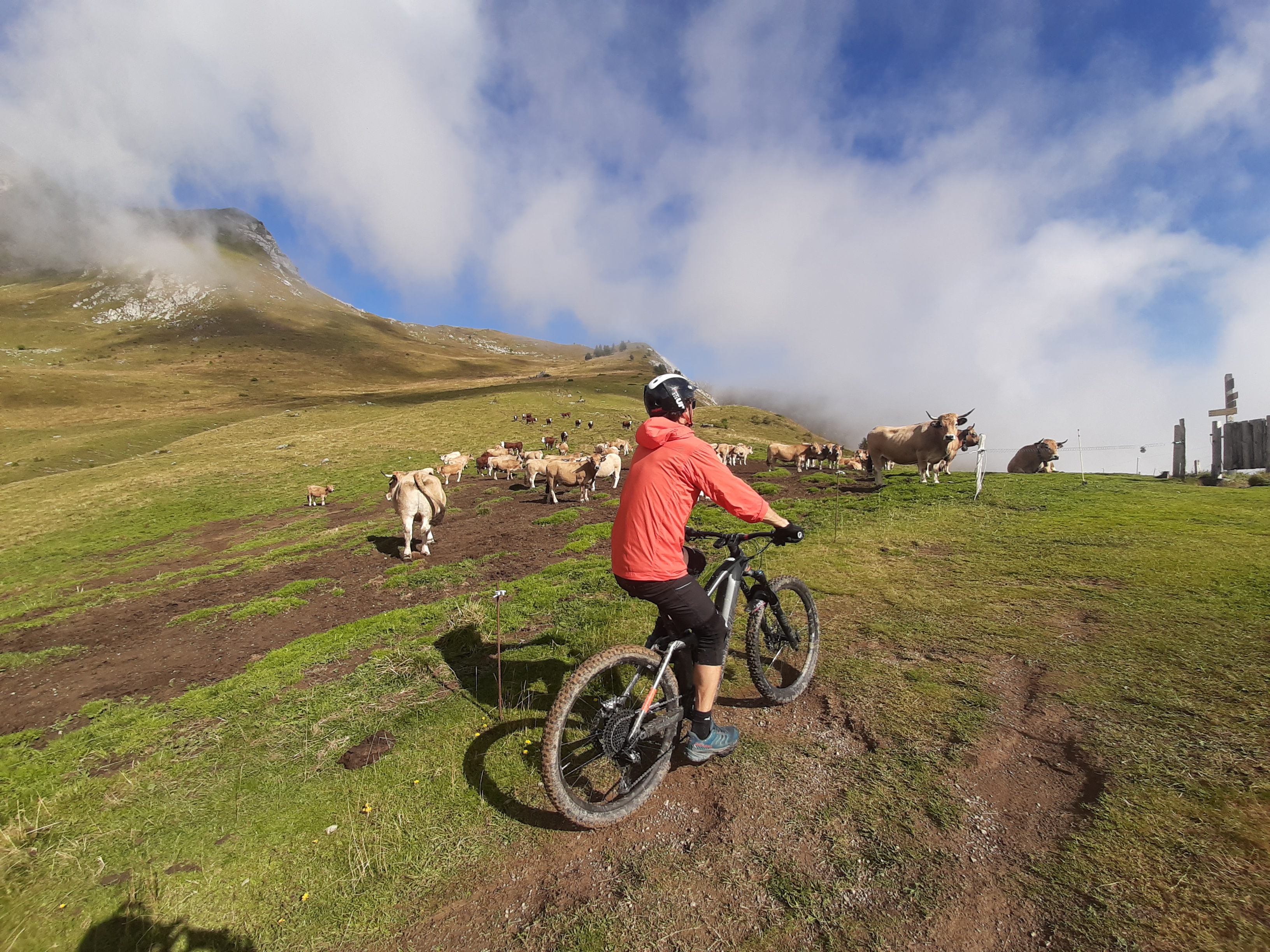 Sorties VTT/ VTT électrique avec EMTB guide Morzine_Morzine